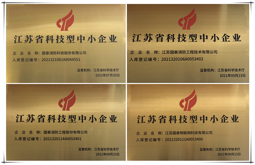 喜訊！國泰集團下屬多家公司獲“科技型中小企業(yè)”認定